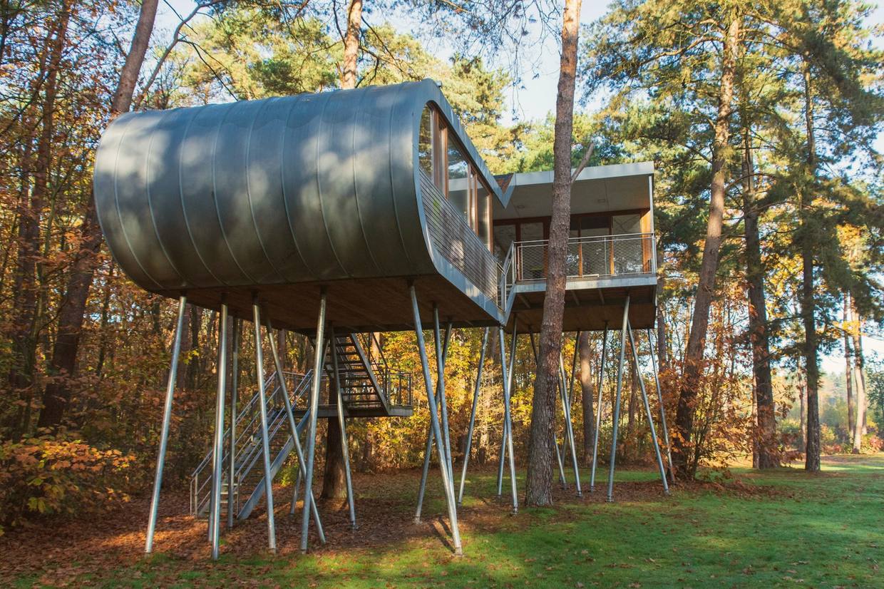 A small wooden treehouse standing among tall trees in a green forest